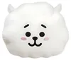 Kissen Plüsch 28 cm Weiß Aurora BT21 RJ Produktbild-Vorschau 1