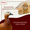 Supravit Aufzucht- & Eifutter für Hühner 2kg | natürliches Produktbild-Vorschau 5