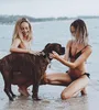 Etui na Apple AirTag silikonowe na obrożę psa lub kota - Podgląd zdjęcia produktu 4