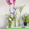 4 Stück Kenzan, Blumenigel, Runder Ikebana, Steckigel mit Produktbild-Vorschau 4