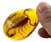 Skorpion w bursztynie imitacja bursztynu z owadem Podgląd zdjęcia produktu 8
