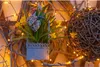 A decorative arrangement of daffodils in a pot, adorned with fairy lights and a woven heart, set against a rustic background. Produktbild-Vorschau