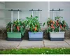 Gusta Garden CHARLY CHILY Standard samozavlažovací truhlík, Náhled obrázku produktu 14