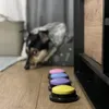 Purlov Sprechende Buttons für Hunde – Interaktives Produktbild-Vorschau 3