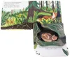 Mein Pop-up-Buch zum Staunen. Wer lebt im Wald? Produktbild-Vorschau 4