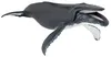 Papo Buckelwal, 3 Jahr(e), Marine life, Schwarz, Weiß, PVC Produktbild-Vorschau 10
