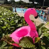 Oblique Unique 5x Schwimmender Flamingo Getränkehalter Produktbild-Vorschau 3