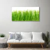 Tulup Leinwand-Bilder 100x50 Wandbild Canvas Kunstdruck Produktbild-Vorschau 3