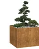 VidaXL 860828, Stal, Kolor rdzy, 1000 mm, 1000 mm, 800 mm Podgląd zdjęcia produktu 2