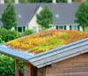Dehner Pflanzenmatte für Dachbegrünung, 2er Set, Gründach Produktbild-Vorschau 3