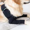 Suitical Recovery Front Leg Double Sleeve® Dog schwarz, Produktbild-Vorschau 4