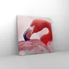 Bild auf Leinwand - Leinwandbild - Einteilig - Flamingo Produktbild-Vorschau 4