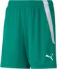 Puma Nohavice Teamliga, 70493105, Veľkosť: 164 Náhľad obrázku produktu 1