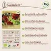 Samenliebe  Sonnenblume Samen | Velvet Queen - dunkelrot - Produktbild-Vorschau 3