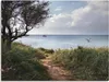 ARTland Leinwandbild Wege zum Meer.... Größe: 80x60 cm Produktbild-Vorschau 1