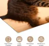 MuchoWow® Poster Katze - Kätzchen - Schwarz 90x60 cm - Produktbild-Vorschau 2