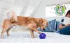 Planet Dog Orbee-Tuff Snoop Lil' Snoop Ø 10 cm, Produktbild-Vorschau 7