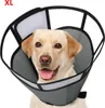 Hundehalskrause XL,Graue Hundehalsband,atmungsaktiv,mehrere Produktbild-Vorschau 1