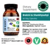 DR WAKDE'S Brahmi & Shankhpushpi Kapseln | 60 Vegi Caps | Produktbild-Vorschau 19