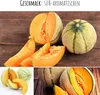 Zuckermelone Samen (Cucurbita melo) - Exotische Melonen Produktbild-Vorschau 4