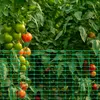 YARDIN Bariérový plot Plot pro drůbež Bezpečnostní síť Náhled obrázku produktu 9