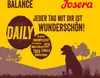 Josera Senior Balance  12,5 kg - Hundetrockenfutter Produktbild-Vorschau 6