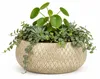 Glimmer Blumentopf / Pflanzschale Madeira - creme - Produktbild-Vorschau 1