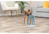TRIXIE Turn Around Strategiespiel - diverse - 22 × 33 × 18 Produktbild-Vorschau 3