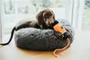 Hunter Trainer Snack Dummy avec corde 20 cm orange / noir Voir les images du produit 6