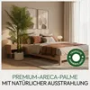 Meisterhome Areca Kunstpalme 180 cm – Große Tropische Produktbild-Vorschau 2