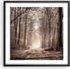 Gerahmtes Poster - Schwarzer Rahmen - Wald Straße Baum - Produktbild-Vorschau 1