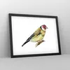 Gerahmtes Poster - Schwarzer Rahmen - Stieglitz Vogel Produktbild-Vorschau 8