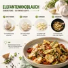 Elefantenknoblauch - 250g Knoblauchzehen - Pflanzknoblauch Produktbild-Vorschau 5
