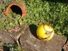 Ersatzglaskugel gelb Ersatzkugel gelb - 10 cm Produktbild-Vorschau 3