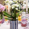 Kolibri Home | Gemaltes Streifchen Produktbild-Vorschau 4