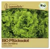 Samenliebe  Salat Samen | Lollo Gentilina - stark gekraust Produktbild-Vorschau 1