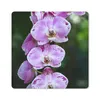 MuchoWow® Mauspad Mousepad Blühende Orchideen 30x30 cm - Produktbild-Vorschau 1