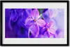 Bild 60x40 MDF-Rahmen Wandkunst Blumen Lila Natur Produktbild-Vorschau 1