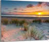 A beach scene at sunset with tall grasses in the foreground and the ocean and sky in the background. Náhľad obrázku produktu