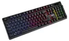 C-TECH Iris/Wireless USB/CZ-SK layout/Noir Voir les images du produit 1