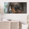 DEQORI Hybrid Leinwand Bild 100x50 cm 'Blick der Produktbild-Vorschau 4