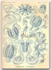 Poster - Canvas - Leinwand - 59,4 cm x 84,1 cm - Fotoposter Produktbild-Vorschau 1