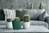 Three potted cacti are arranged on a table in front of a sofa with decorative pillows. Produktbild-Vorschau