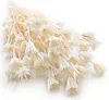 Orientalische Schwarzkümmelblume Getrocknete - (Nigella Produktbild-Vorschau 1