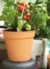 Kvetináč ELHO Green Basics Ø13x12 cm - jemná hlinená Náhľad obrázku produktu 7