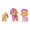 PAW Patrol PAW RLP Skye Figure Pack INTL PPTMM GML, 3 rok / Náhľad obrázku produktu 7