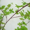 Kš¹nstlicher Enkianthus-Baum fš¹r den Innenbereich, hoher Produktbild-Vorschau 4