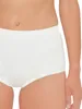 SUSA Miederslip London Modell 631 (Größe: 46 / Farbe: Produktbild-Vorschau 2