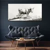 Coloray Bild aus Leinwand 140x70 Leinwand Dekoration - Tier Produktbild-Vorschau 2