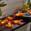 Crayfish Party Produktbild-Vorschau 4